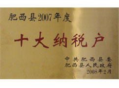 肥西縣2007年度十大納稅戶